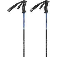Gabel Bastões R Carbon Pro