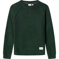 Pepe Jeans unisex para criança. PB7000025 Camisola Callum verde (10años= 140cm), Casual, Algodão, moda infantil