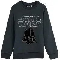Star Wars Moletom Star Wars Cotton Brushed
