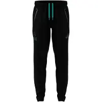 Adidas Calças Mercedes-amg Petronas F1 Team Lot Vt