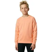 Devold Moletom Everyday