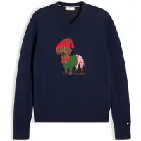 Tommy Hilfiger Pullover navy / verde / vermelho / branco