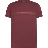 Icebreaker Camiseta De Manga Curta 150 Tech Lite Range Stripes