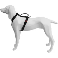 Freedog Arnês Para Cães Extreme