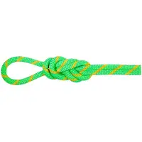 Mammut Corda 8.0 Mm Alpine Dry 60 M
