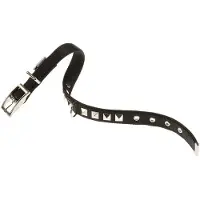 Ferplast Coleira De Cachorro Dual 15 Mm 35 Cm