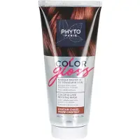Phyto Paris Color Gloss Mask Warm Chestnut