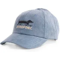 Hydroponic Boné Long Dog