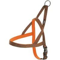 Nayeco Arnês Para Cães Neoprene