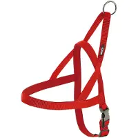 Nayeco Arnês Para Cães Neoprene