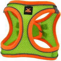 Nayeco Arnês Para Cães X-trm Neo