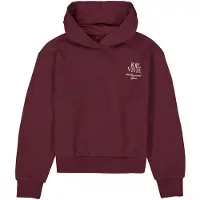 Garcia Sweatshirt verde pastel / vermelho escuro