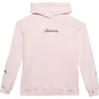 Abercrombie & Fitch Sweatshirt nude / petróleo / cor-de-rosa / magenta