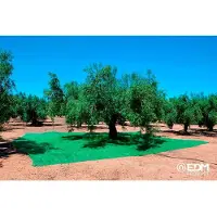 EDM Manto Para Coletar Frutas 3x6m