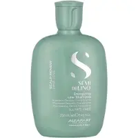Alfaparf Milano Shampoo Energizante Semi Di Lino Scalp Renew 250ml