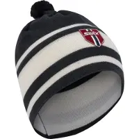 Swix Gorro Tradition Light