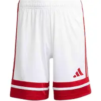 Adidas Calções Squadra 25