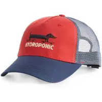 Hydroponic Boné Long Dog