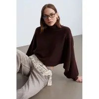 Dilvin Pullover 'Pullover' castanho escuro