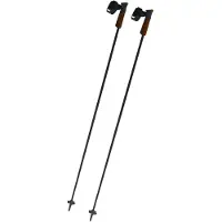 Fischer Bastões Gt 13 Carbon Mag