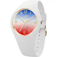 Ice Watch Relógio Feminino 23251 37mm 5atm Quartz Analogical