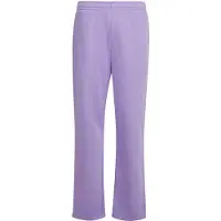 Urban Classics Calças roxo