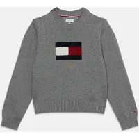 Tommy Hilfiger Pullover navy / cinzento escuro / vermelho / branco