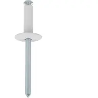 Cofan Rebite De Cabeça Larga 4.8x20 Mm 250 Unidades