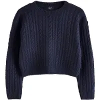 Next Pullover navy