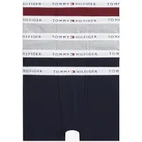 Tommy Hilfiger Underwear Cueca navy / cinzento claro / borgonha / branco