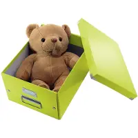 Leitz Caixa armazenagem | 6044 WOW | 281 x 369 x 200 mm | Verde