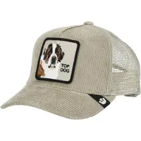 Kärkkäinen GOORIN Bros. Boné 'Top Dog' conhaque / cáqui / preto / branco