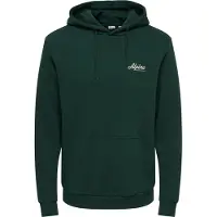 Only & Sons Sweatshirt 'ONSCERES' ecru / verde escuro