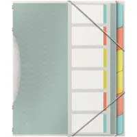 Esselte Pasta organizadora | Multicolorida 6 separadores