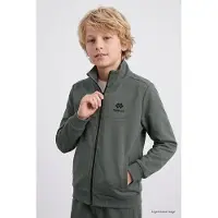 Tommy Life Fato de treino 'TOMMY Kinder Active Set' cáqui