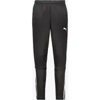 Puma Calças Teamliga Training