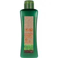 Salerm Biokera For Treated Hair Shampoo 300 ml