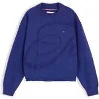 Tommy Hilfiger Pullover azul escuro