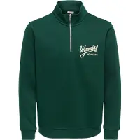 Only & Sons Sweatshirt 'ONSConnor' verde escuro / branco lã