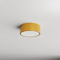 TEMAR LIGHTING Candeeiro de teto Cleo, Ø 20 cm, IP20, dourado, metal, E27