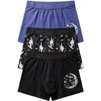 OTS Cueca 'Herren-Boxershorts' mistura de cores