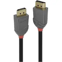 Lindy Cabo Displayport 902006400 15 M